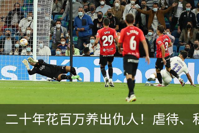 二十年花百万养出仇人！虐待、私吞千万遗产？68岁刘佩琦法庭痛哭